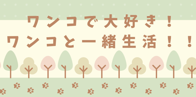 カワイイがいっぱい！ワンダーランド